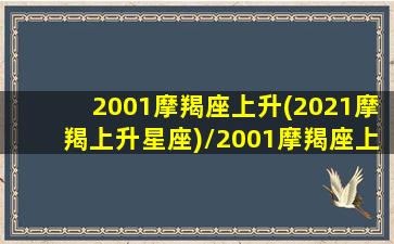 2001摩羯座上升(2021摩羯上升星座)/2001摩羯座上升(2021摩羯上升星座)-我的网站